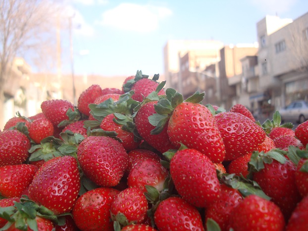 توت فرنگی - آیلین فرزان مهر - Aylin Farzan Mehr -StrewBerry